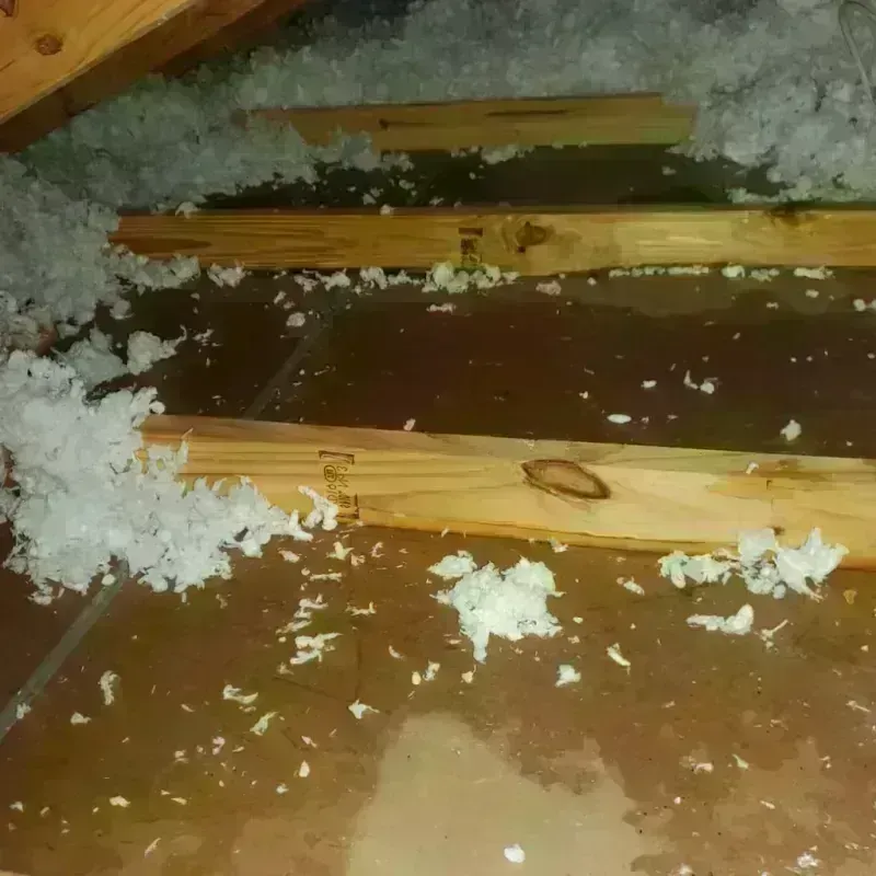 Attic Water Damage in Hocking County, OH